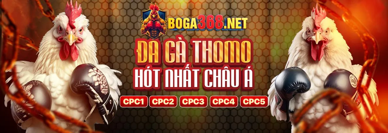 Lợi ích tải ứng dụng FB55